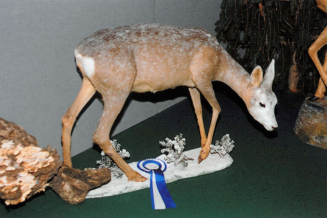 2005-capriolo